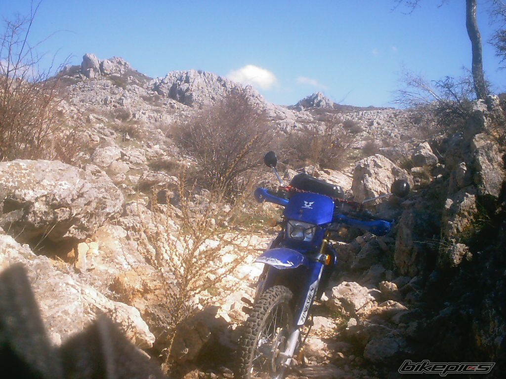 2005 ZONGSHEN ZS 200 GY A | Picture 943775 motorcycle photo