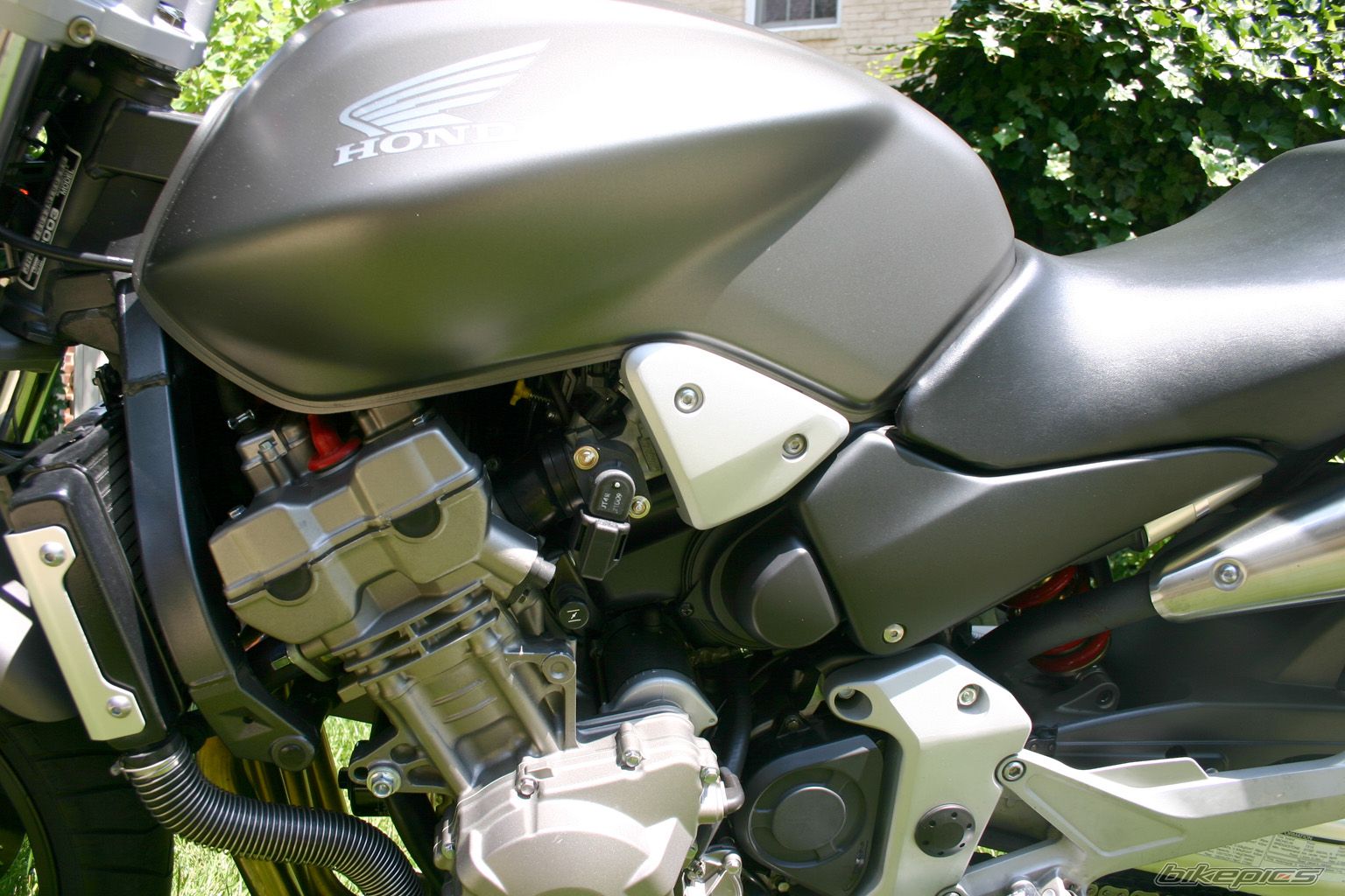 2003 HONDA CB 900 | Picture 943968 motorcycle photo