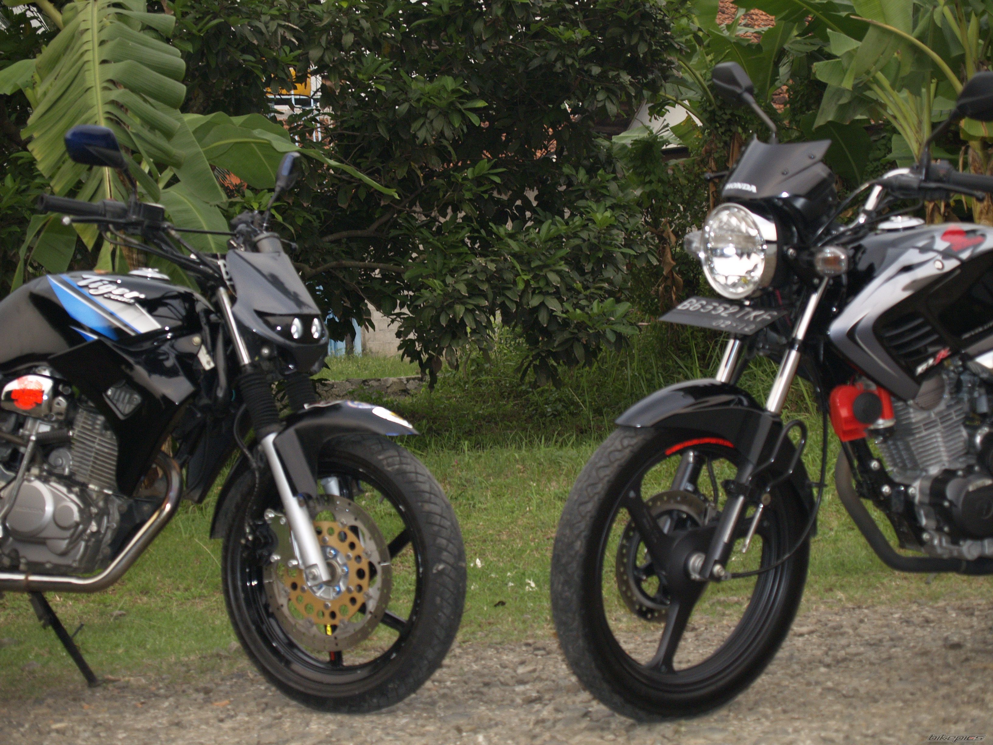 2007 HONDA TIGER | Picture 944016 motorcycle photo