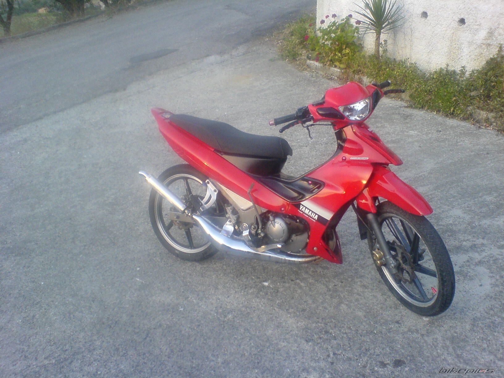 2007 YAMAHA Z 125 | Picture 944510 motorcycle photo