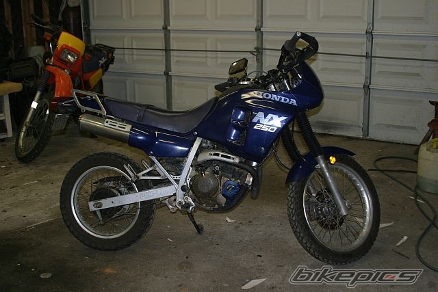 1988 HONDA NX 250 | Picture 944843 motorcycle photo