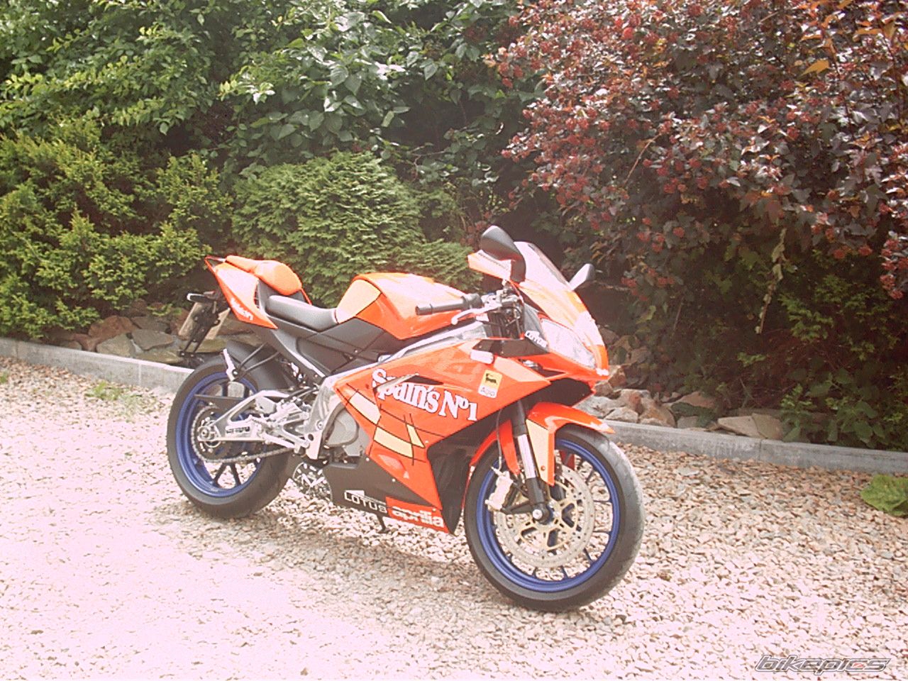 2007 APRILIA RS 125 | Picture 945084 motorcycle photo