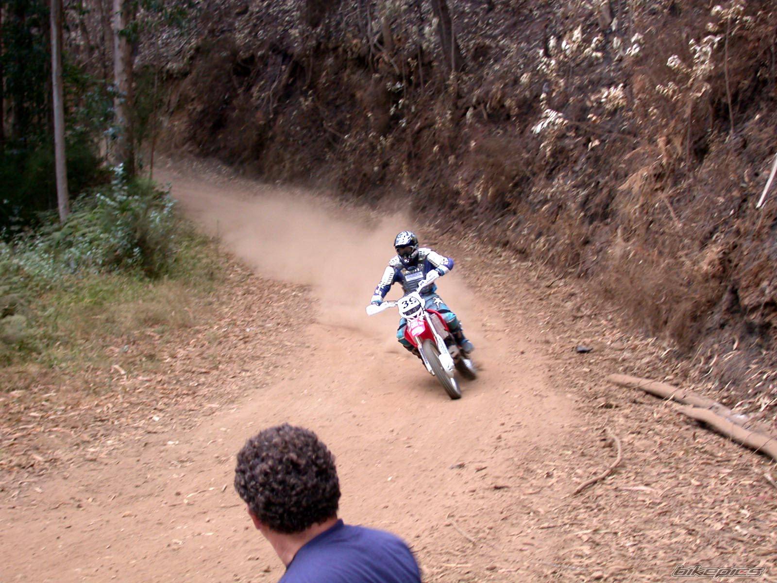 2003 HONDA CRF 450 | Picture 94531 motorcycle photo