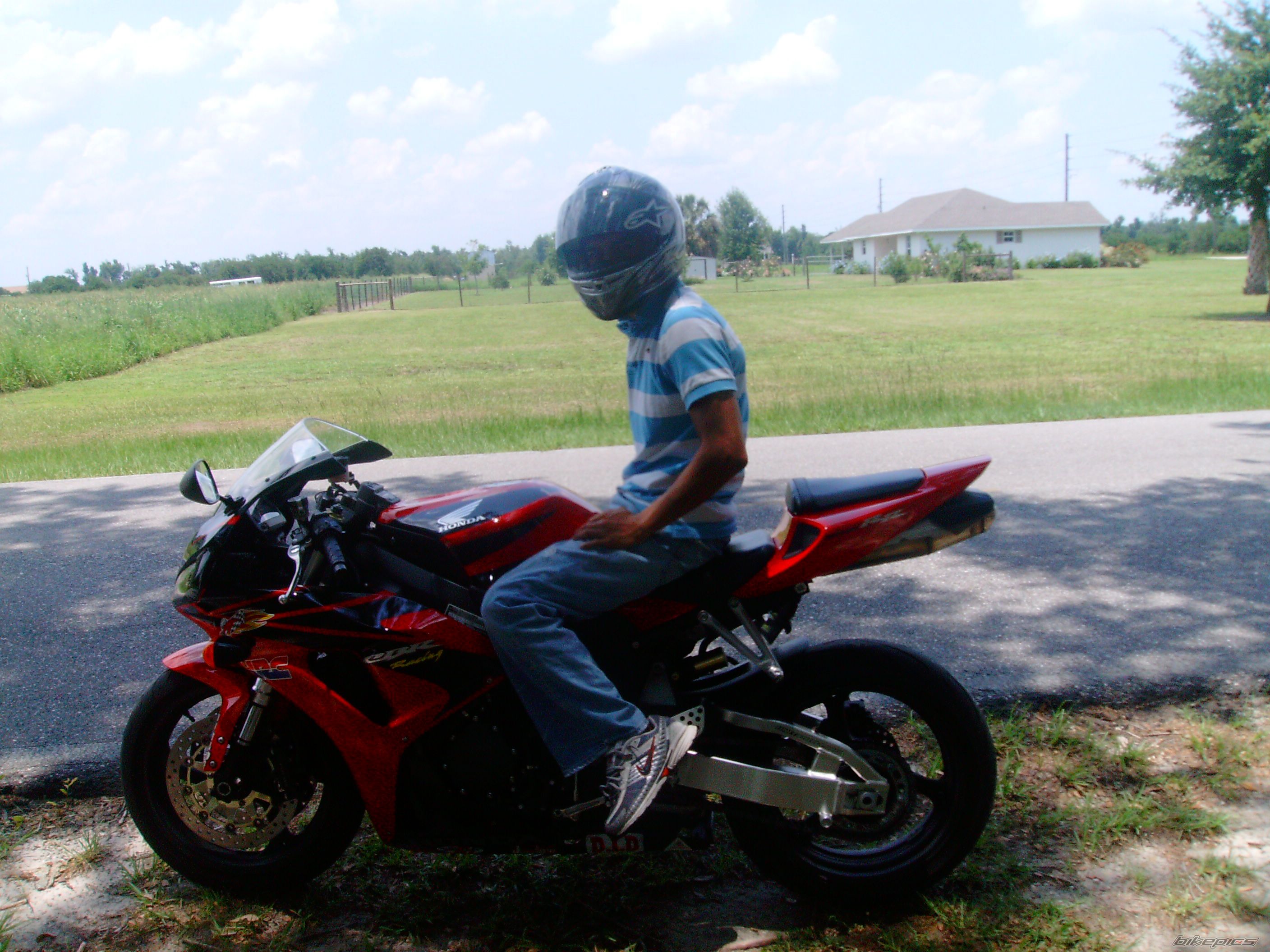 2006 HONDA CBR 1000  RR | Picture 946402 motorcycle photo
