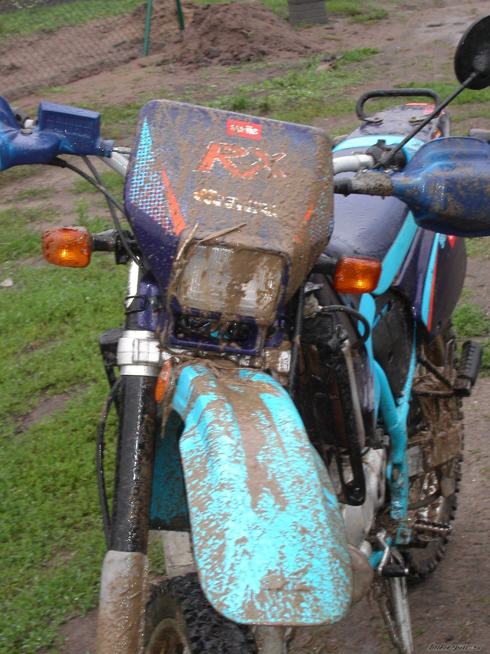 1998 APRILIA RX 50 | Picture 946954 motorcycle photo