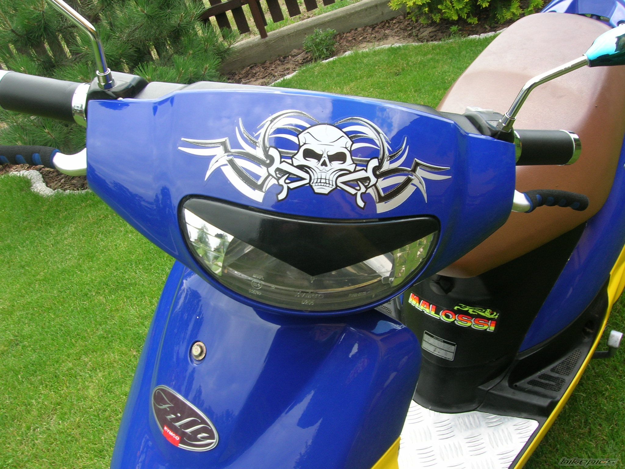 2000 KYMCO FILLY 50 | Picture 948032 motorcycle photo