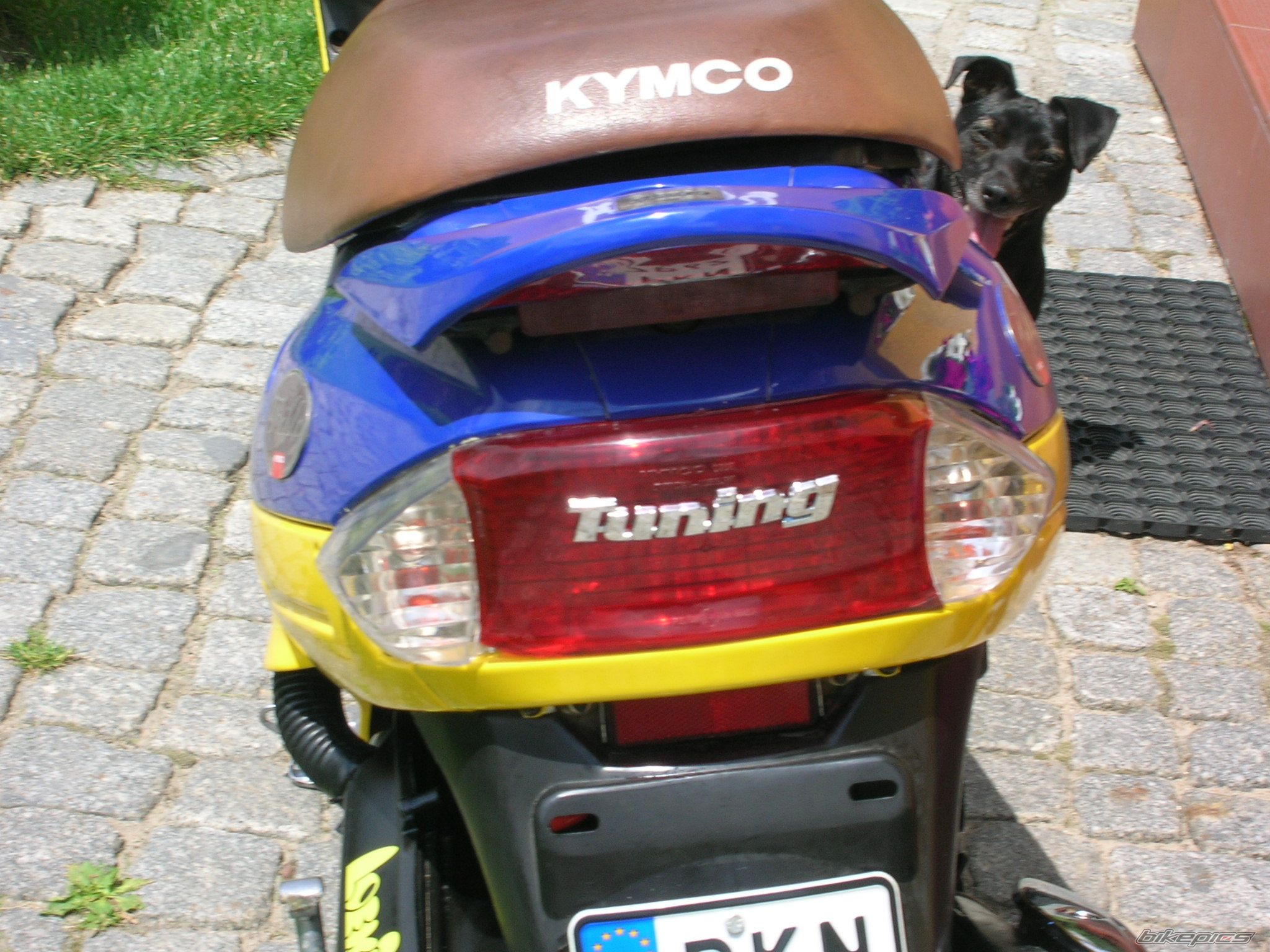 2000 KYMCO FILLY 50 | Picture 948033 motorcycle photo