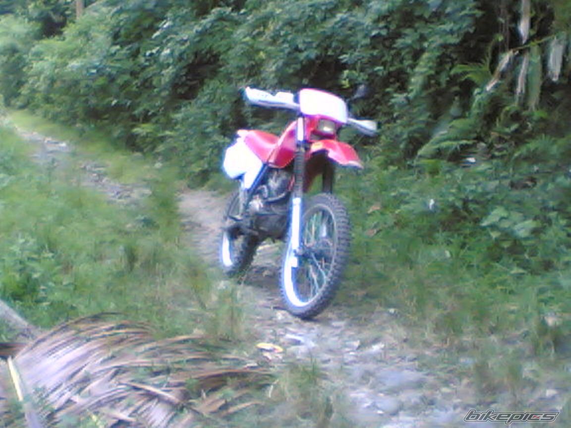 1999 HONDA XR 200 | Picture 949011 motorcycle photo