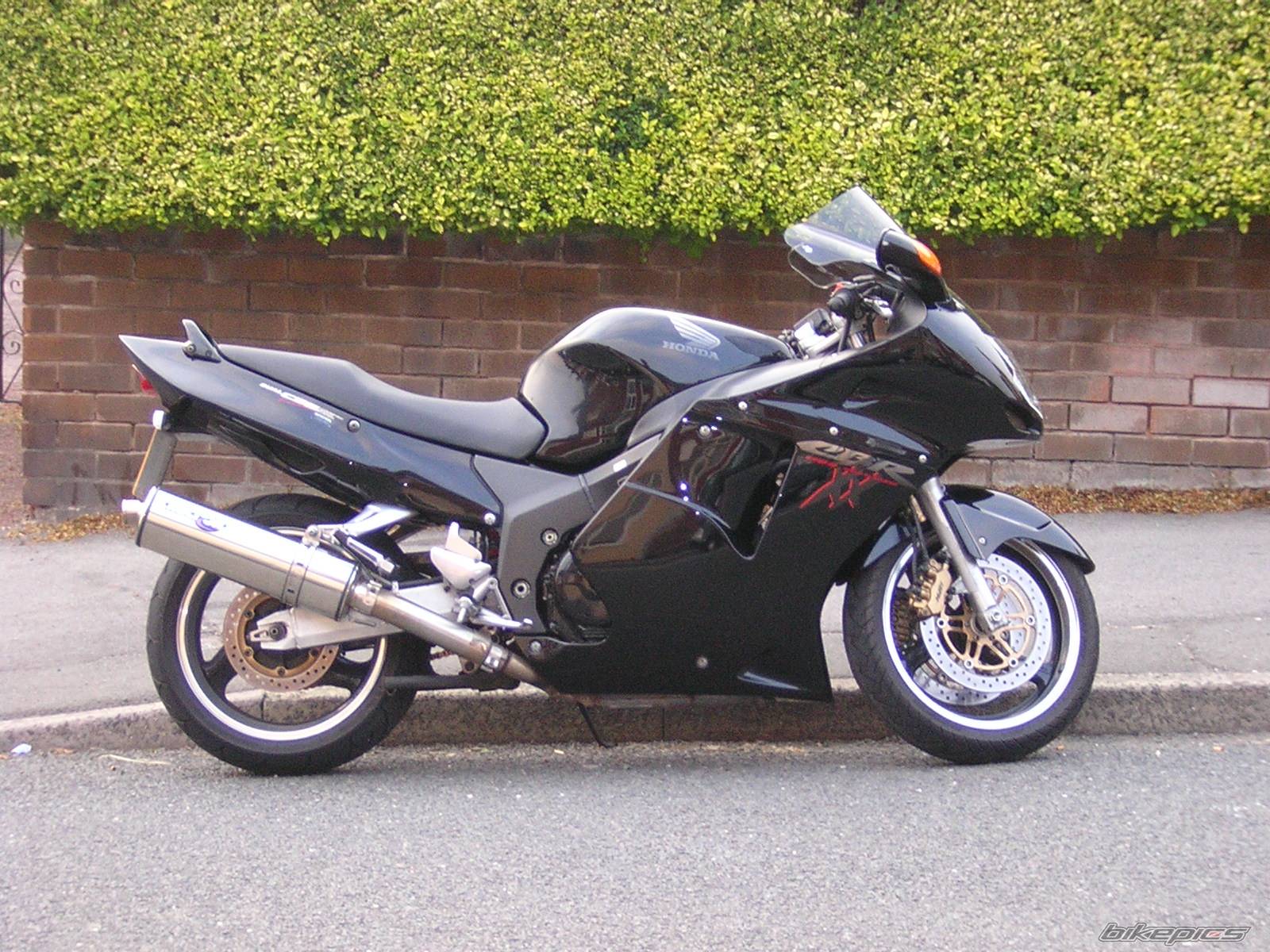 1997 HONDA CBR 1100 BLACKBIRD | Picture 94942 motorcycle photo