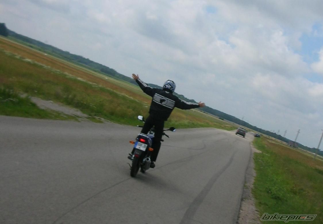 2006 YAMAHA YBR 125 | Picture 949538 motorcycle photo