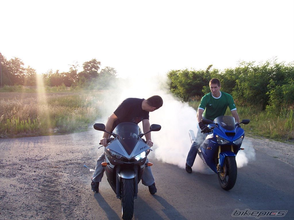 2003 YAMAHA YZF R6 | Picture 949909 motorcycle photo