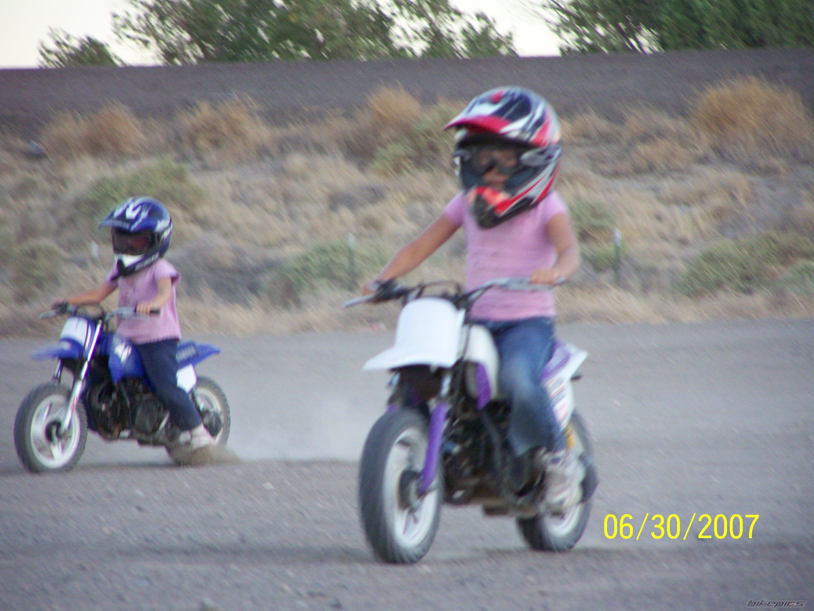 2003 YAMAHA PW 50 | Picture 950040 motorcycle photo