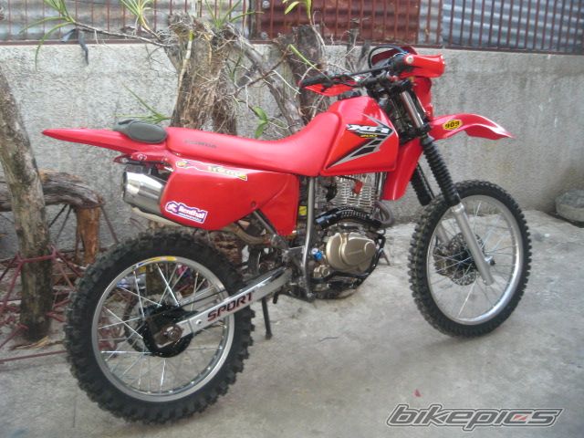 1999 HONDA XR 200 | Picture 950389 motorcycle photo