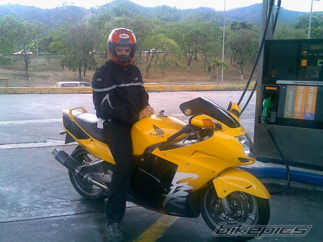 1998 HONDA CBR 1100 BLACKBIRD | Picture 951975 motorcycle photo