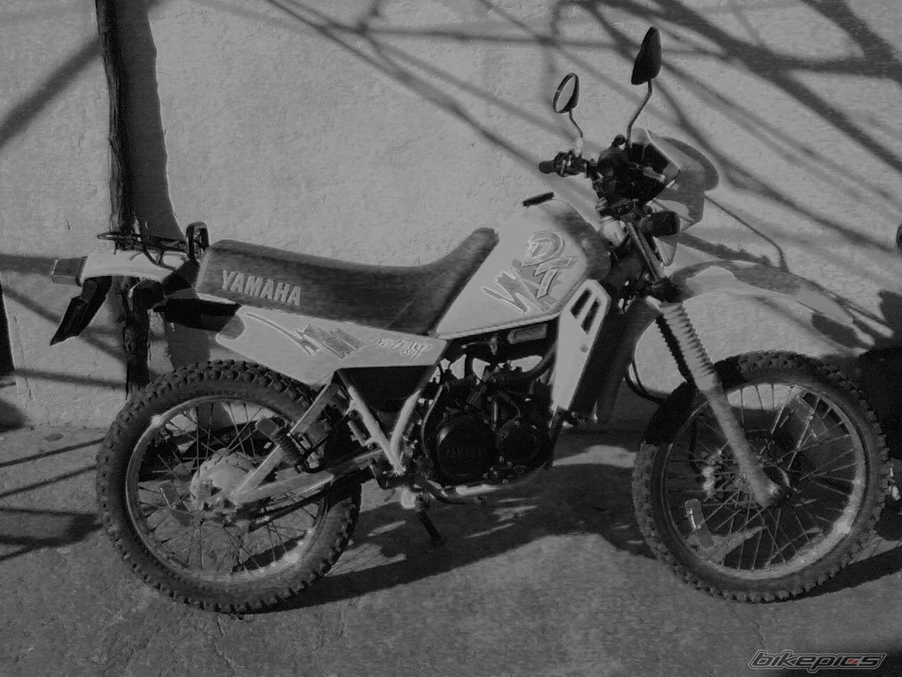 1993 YAMAHA DT 50 | Picture 952084 motorcycle photo