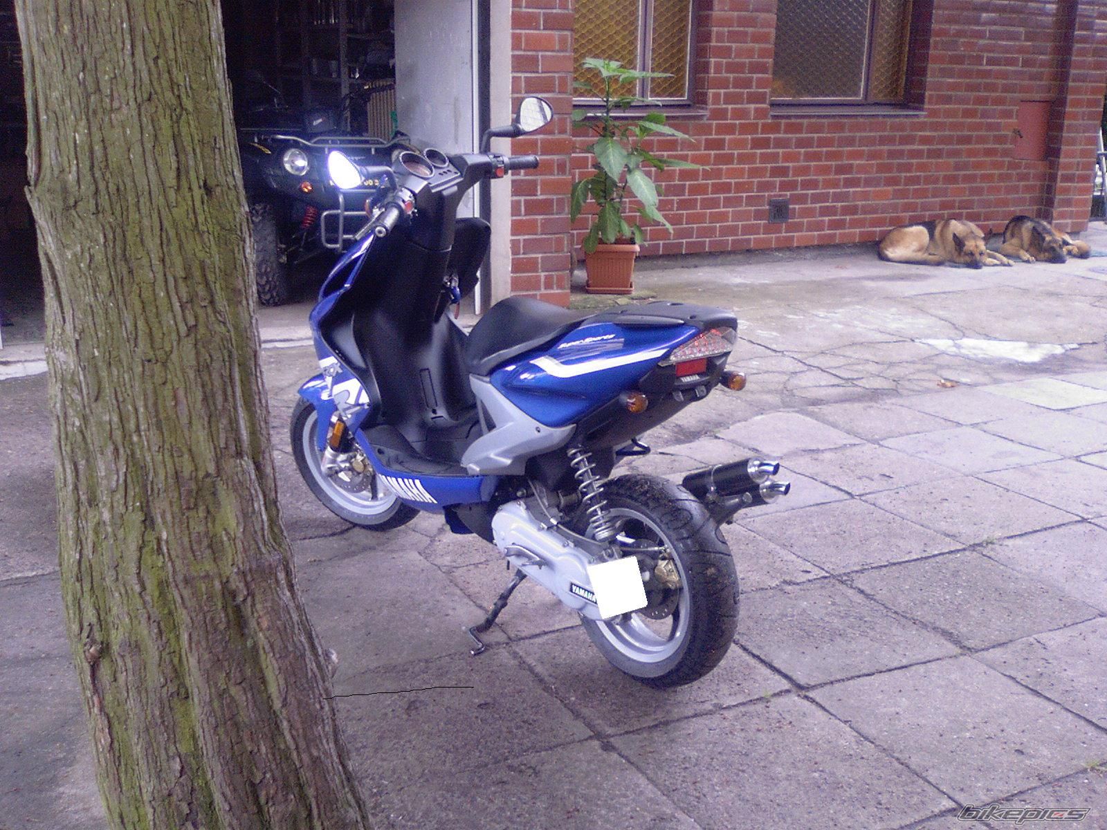 2002 YAMAHA AEROX 50 | Picture 952148 motorcycle photo