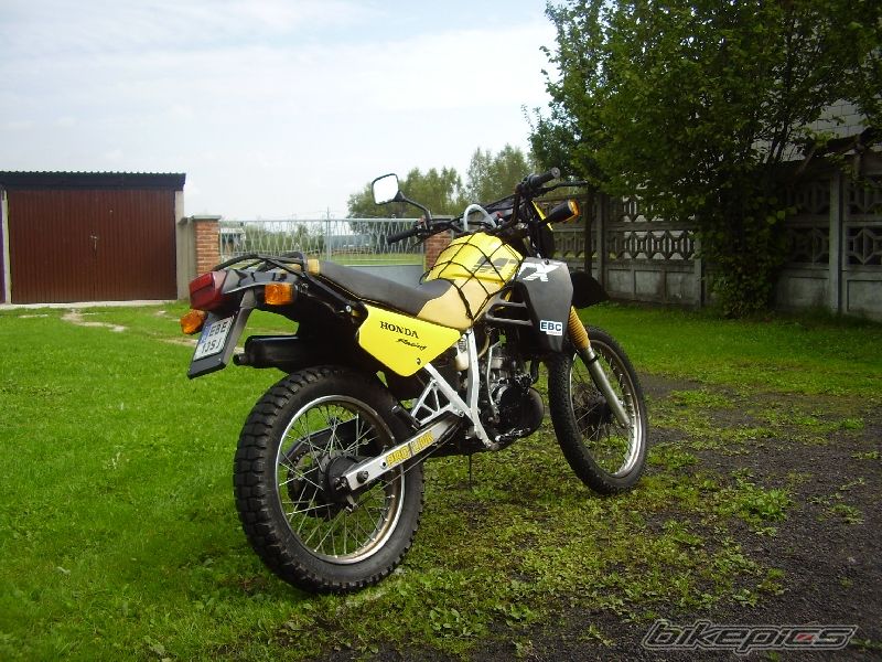 1989 HONDA MTX 125 | Picture 952732 motorcycle photo