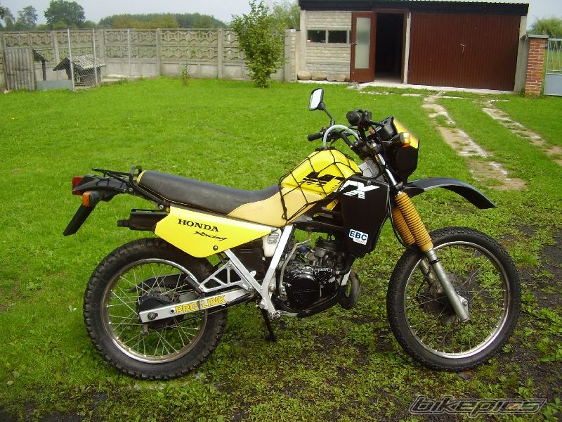 1989 HONDA MTX 125 | Picture 952776 motorcycle photo