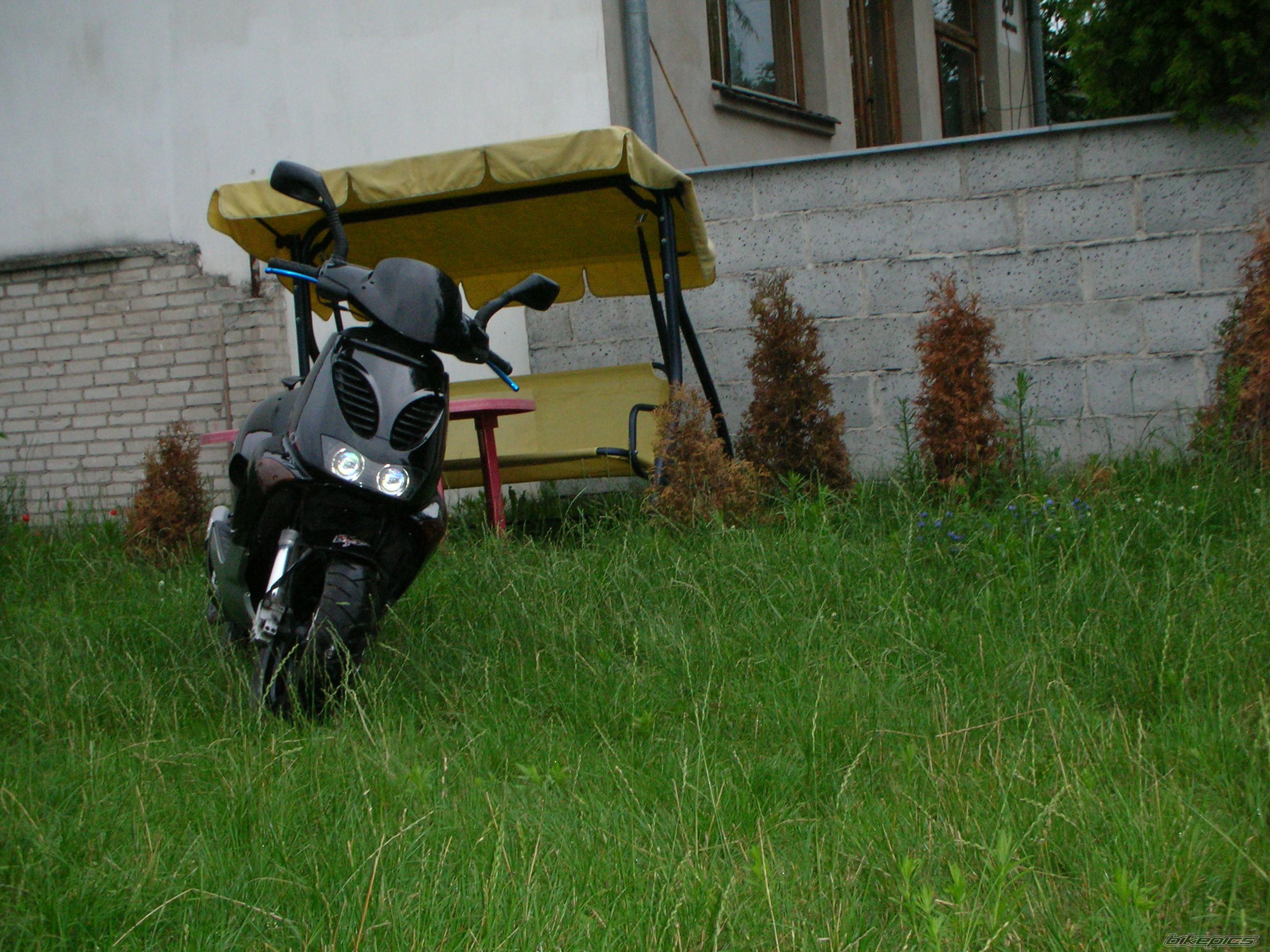 1998 APRILIA SR RACING 50 | Picture 953269 motorcycle photo