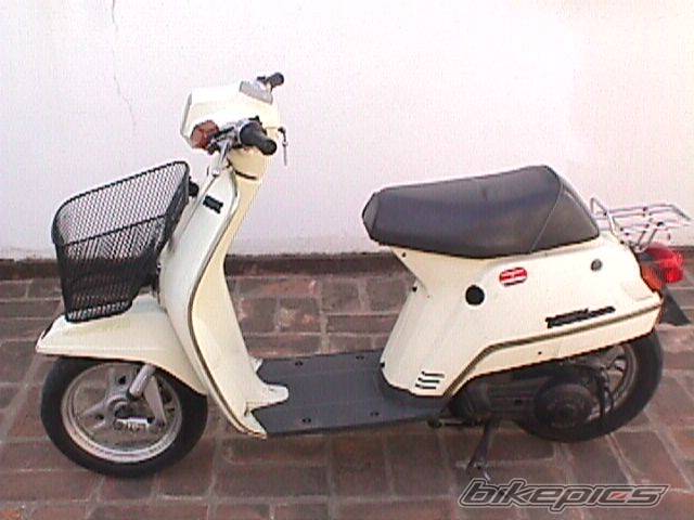 1983 HONDA CK 50 VOCAL | Picture 95329 motorcycle photo
