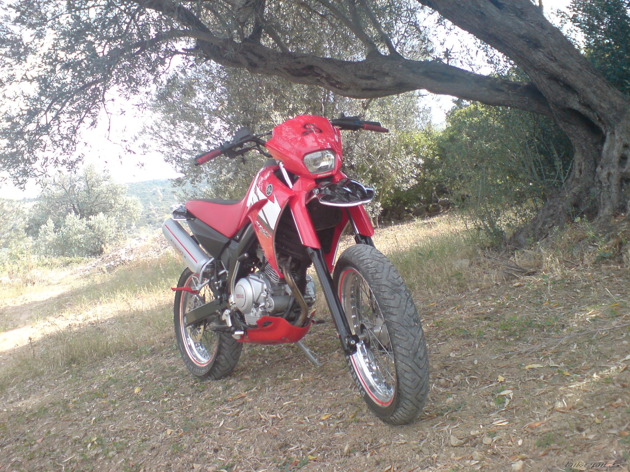 2004 YAMAHA XT 125 | Picture 953588 motorcycle photo