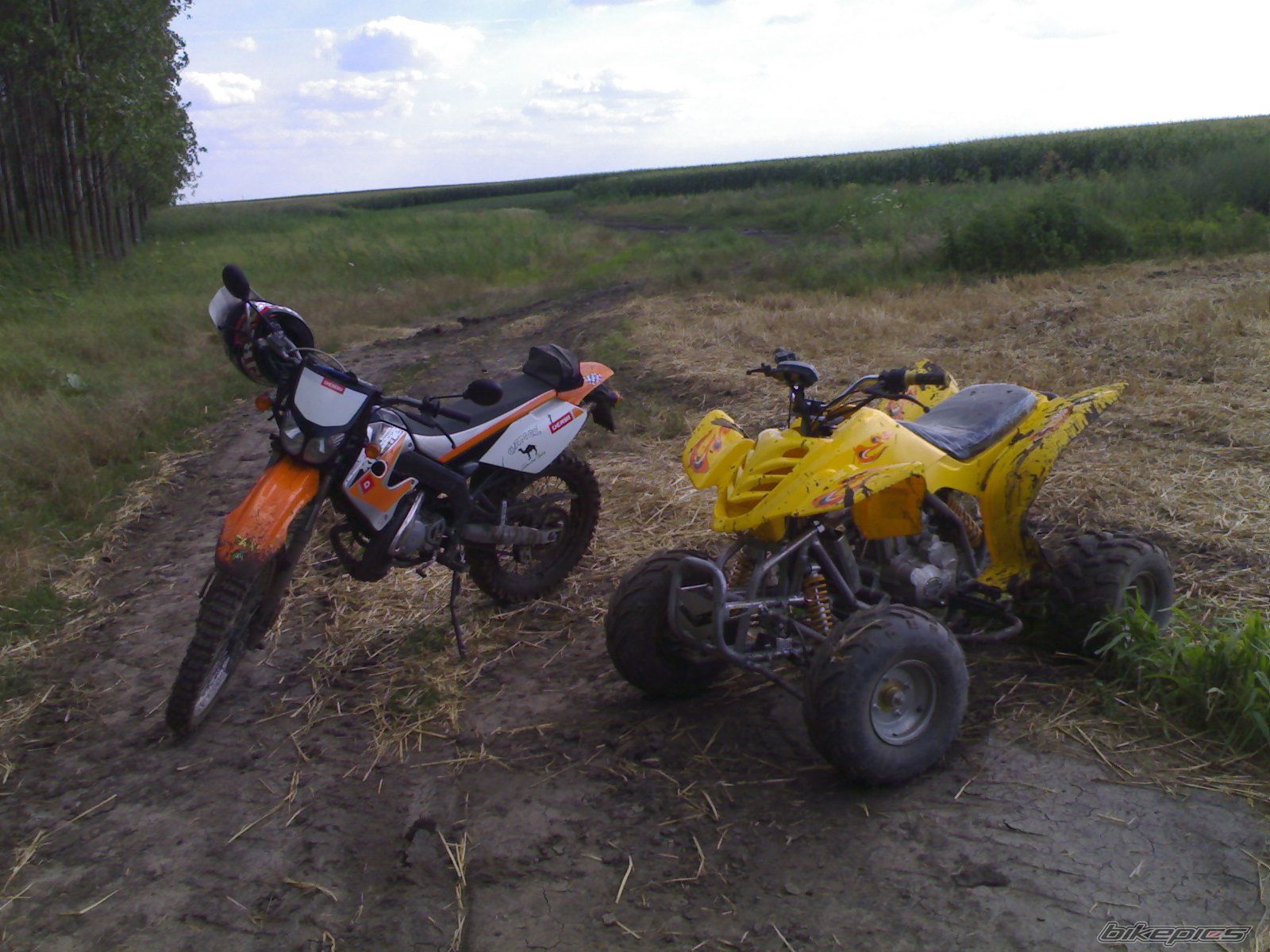 2005 DERBI SENDA X TREME R 50 | Picture 953899 motorcycle photo