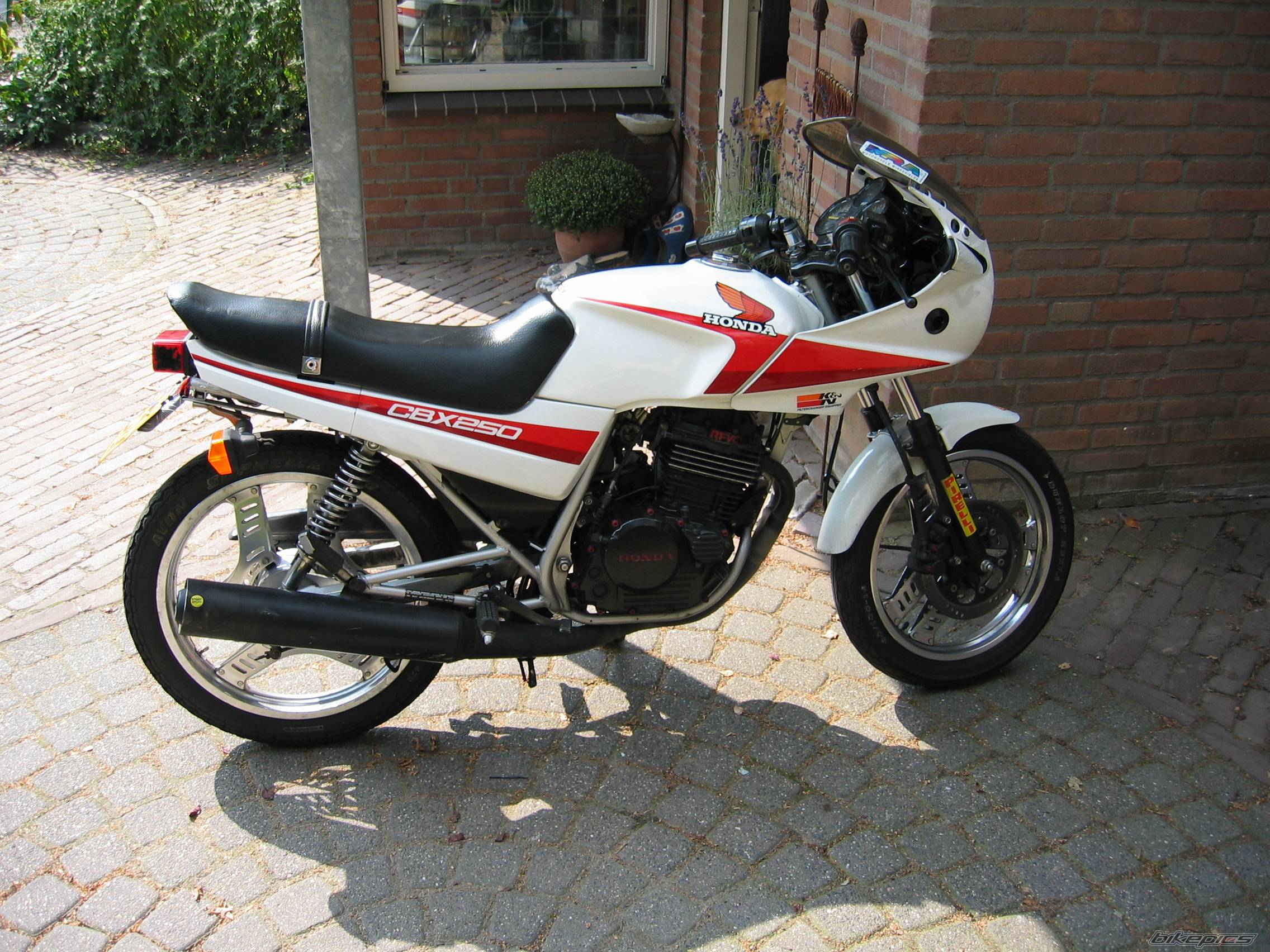 1985 HONDA CBX 250 | Picture 95439 motorcycle photo