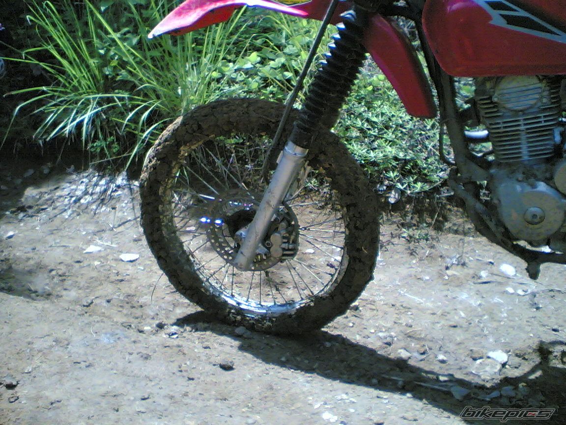    | Picture 954509 motorcycle photo