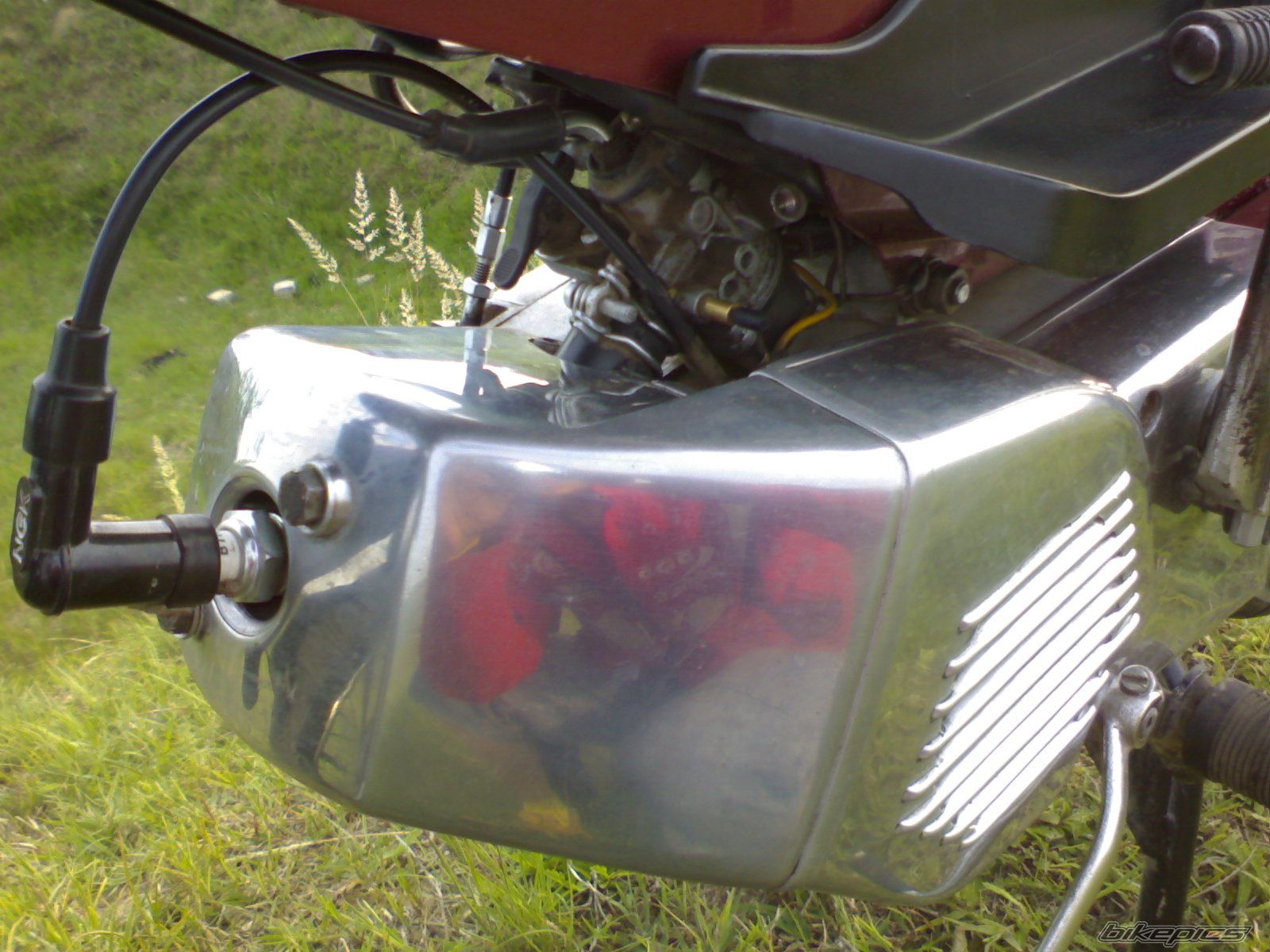 1983 TOMOS APN 6 | Picture 954874 motorcycle photo