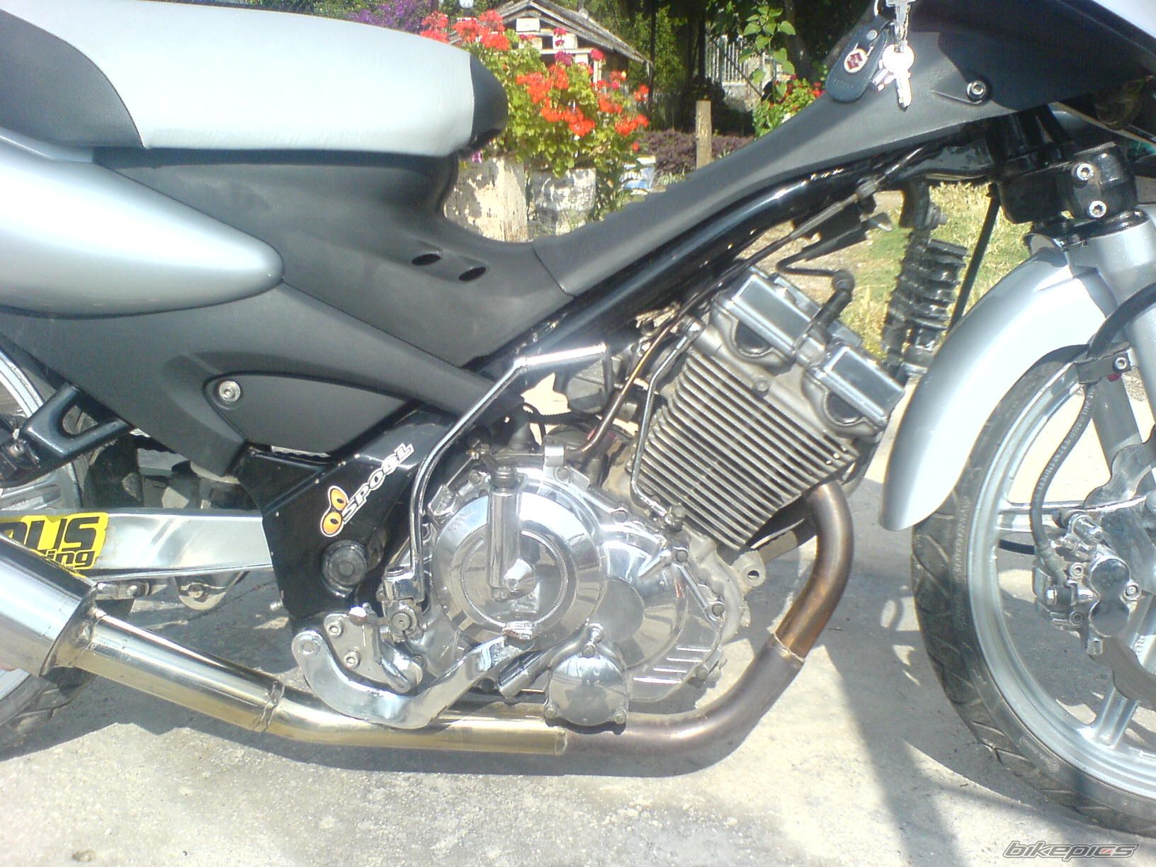 2001 SUZUKI FX 125 | Picture 954882 motorcycle photo