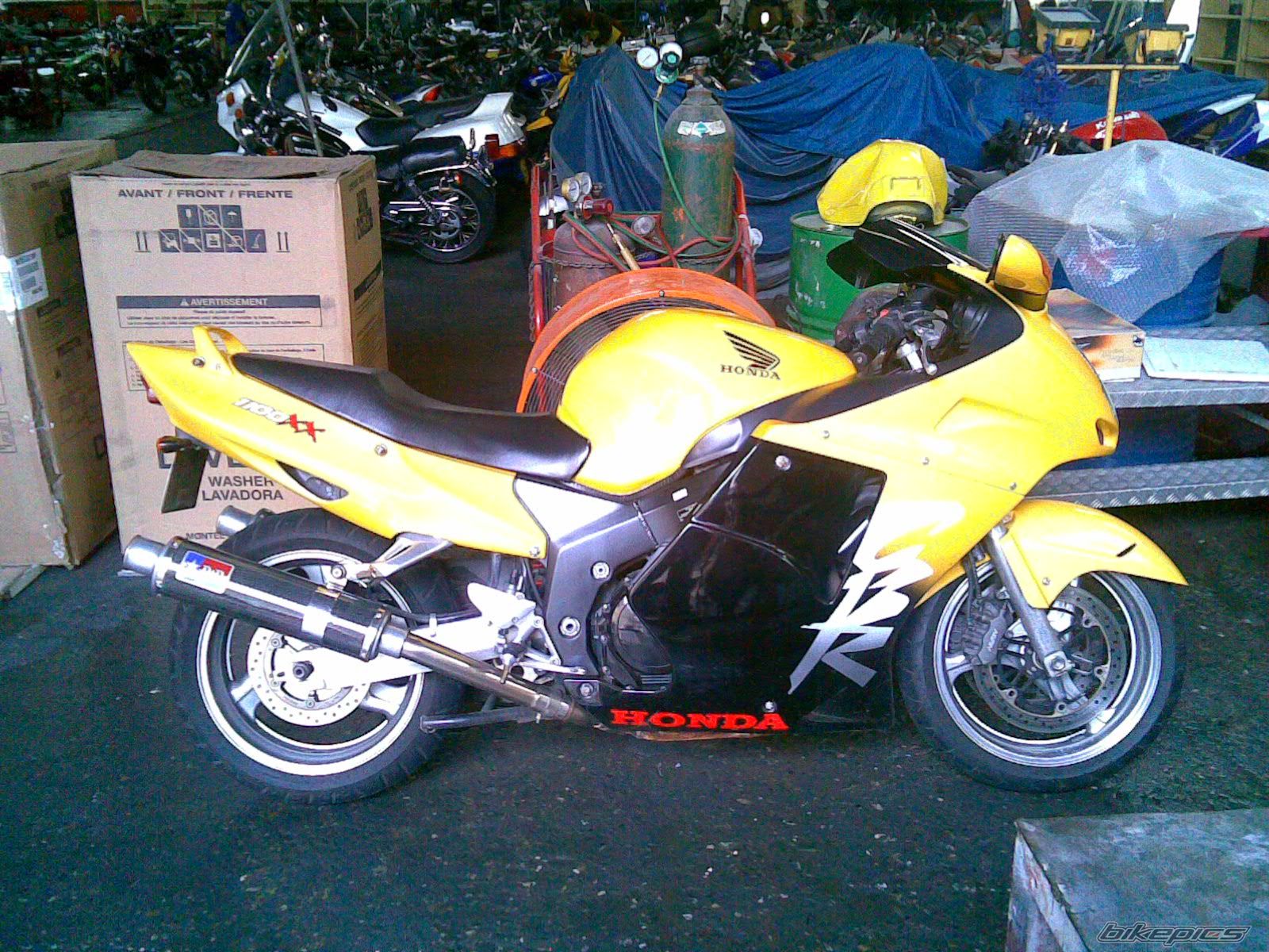 1998 HONDA CBR 1100 BLACKBIRD | Picture 954954 motorcycle photo