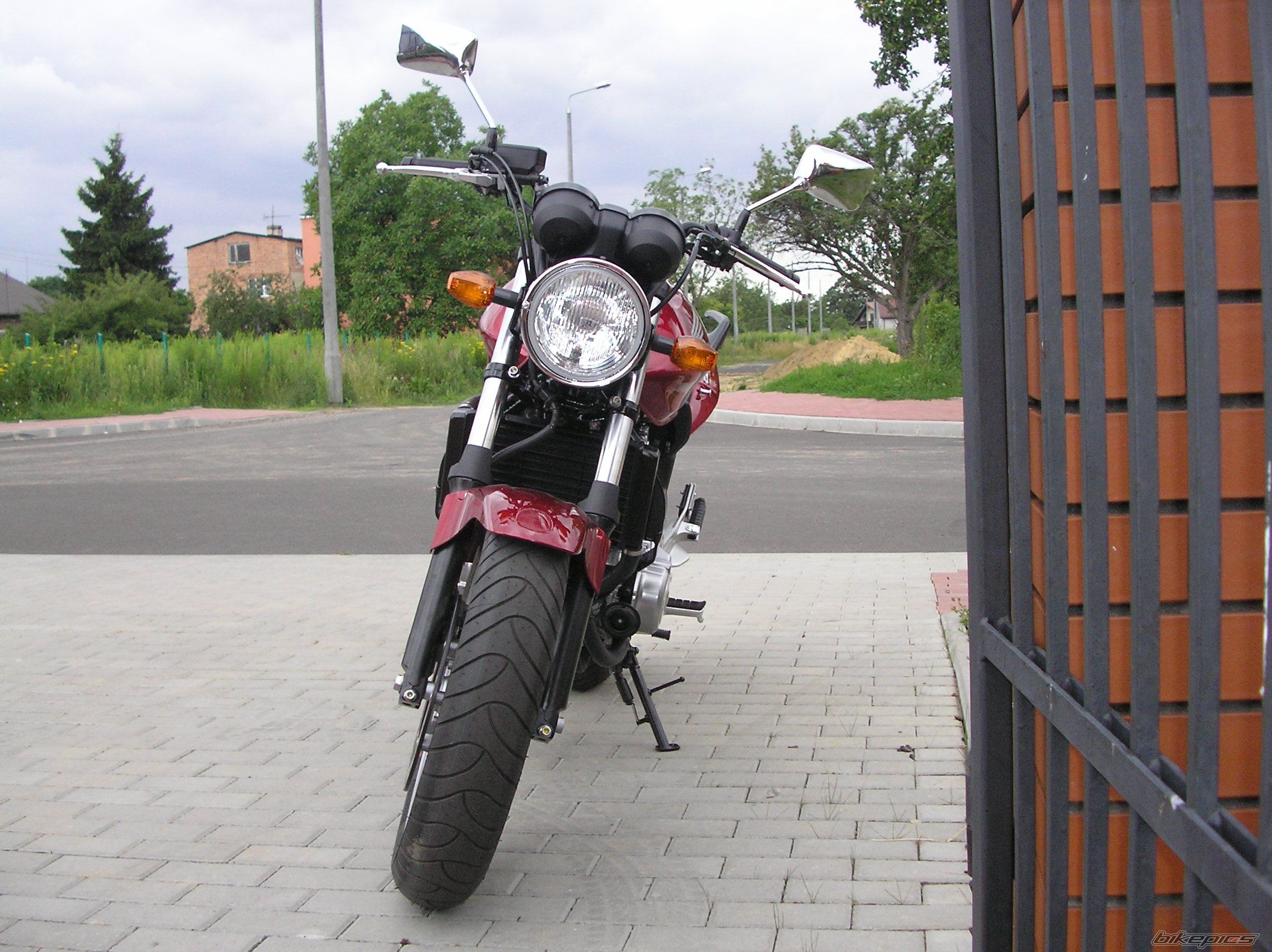 2007 HONDA CBF 500 | Picture 955154 motorcycle photo