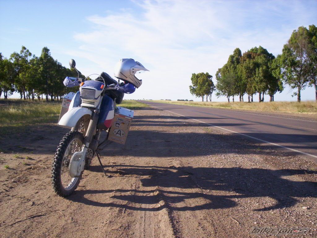 1994 HONDA XR 650 | Picture 955183 motorcycle photo