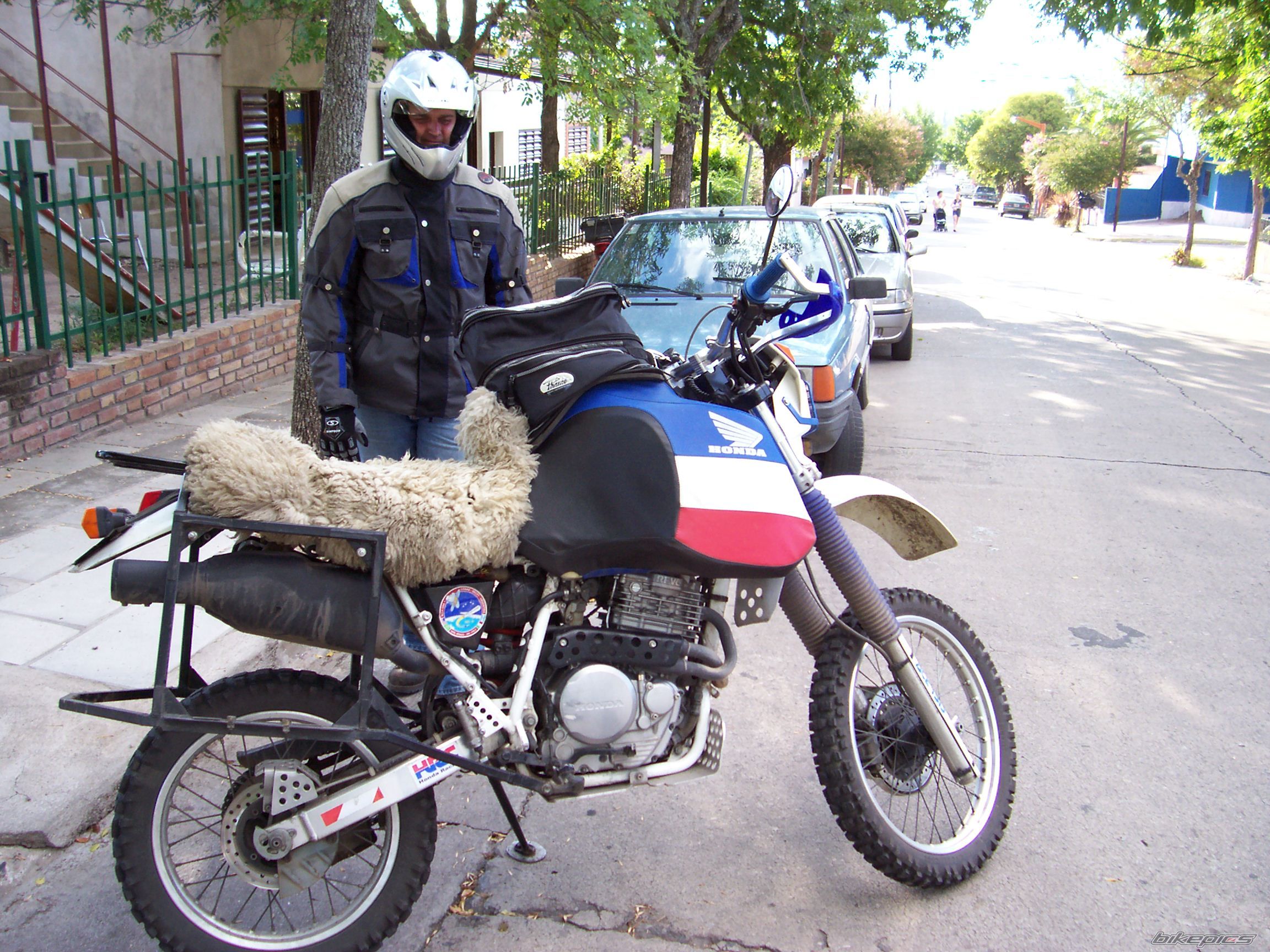 1994 HONDA XR 650 | Picture 955224 motorcycle photo
