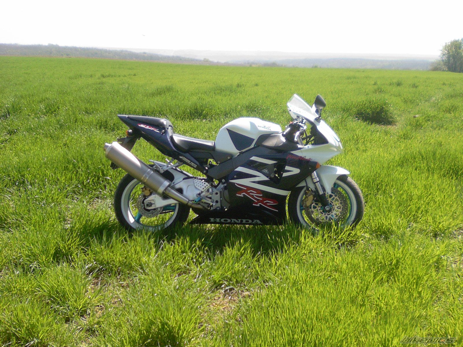 2002 HONDA CBR 900 | Picture 955387 motorcycle photo