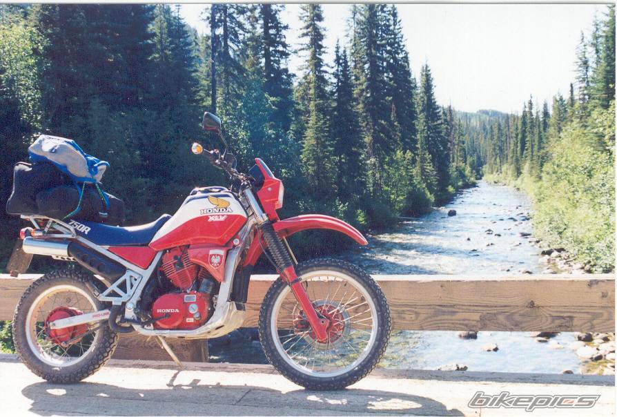 1985 HONDA XLV 750 | Picture 95563 motorcycle photo