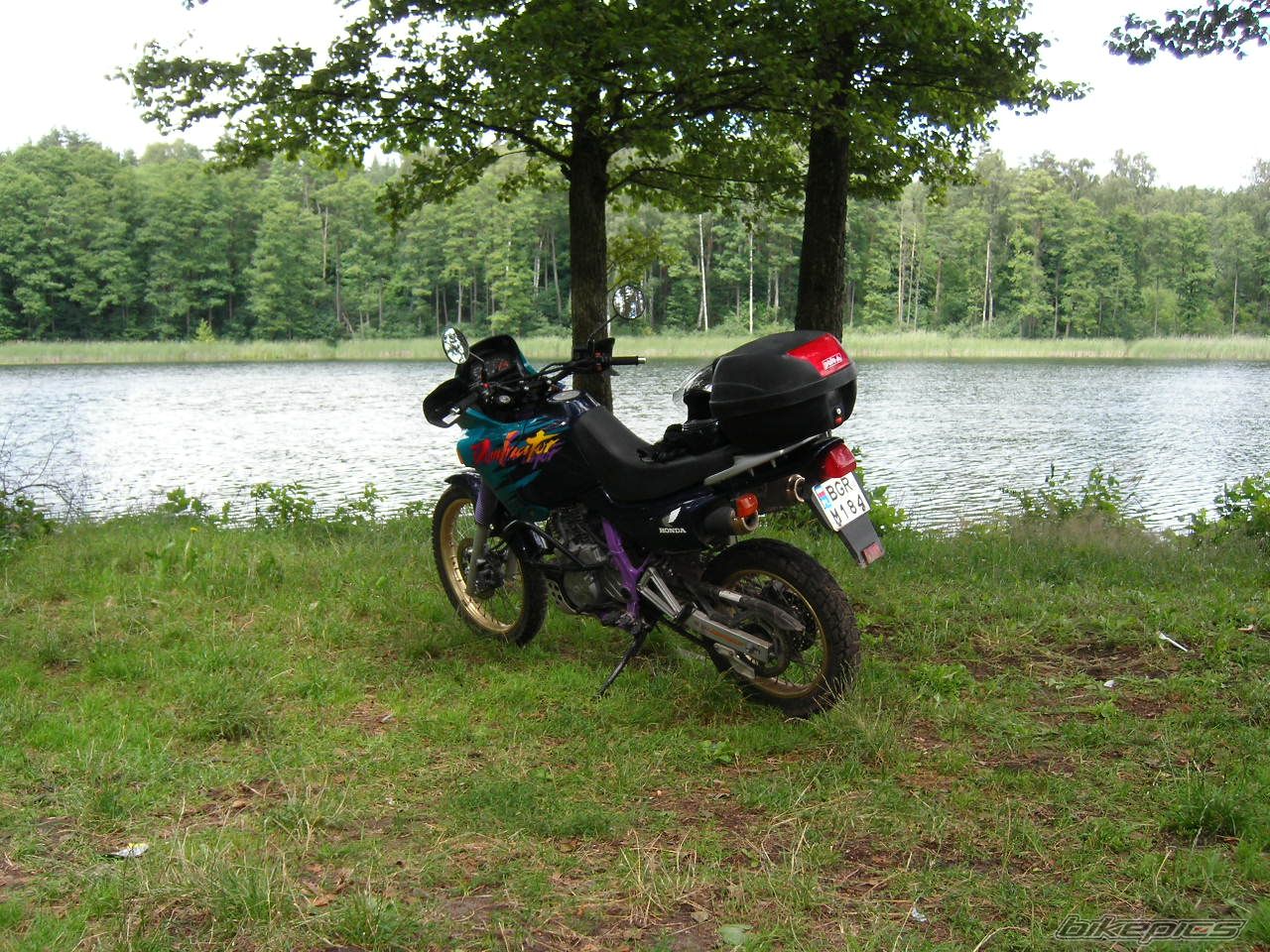 1993 HONDA NX 650 DOMINATOR | Picture 955663 motorcycle photo