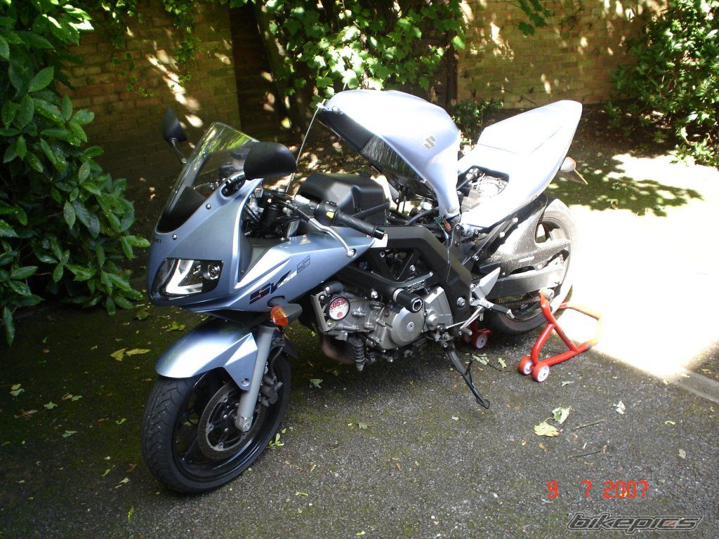 2006 SUZUKI SV 650S | Picture 956585 motorcycle photo