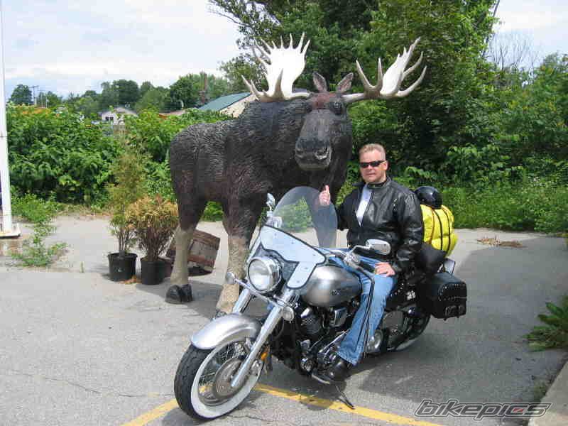 1993 HARLEY DAVIDSON FLSTNI SOFTAIL DELUXE | Picture 956735 motorcycle photo