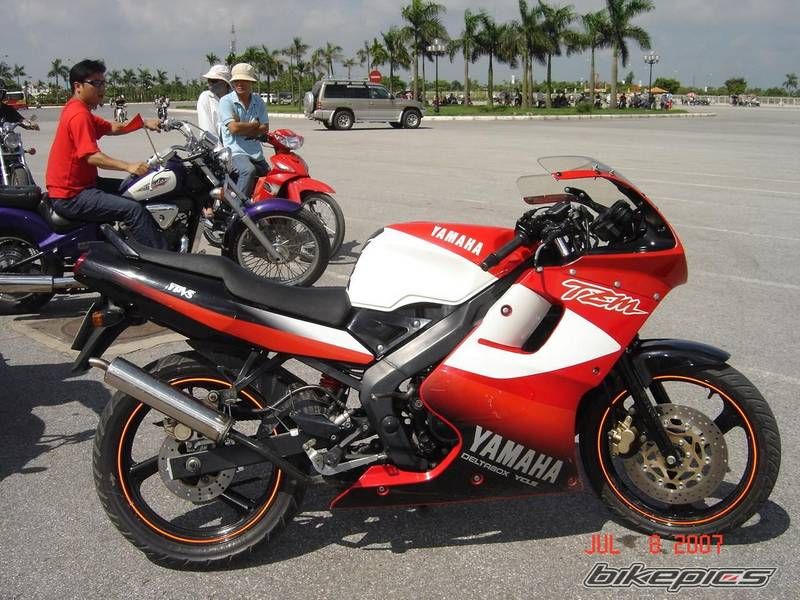 2008 YAMAHA TZM 150 | Picture 956824 motorcycle photo
