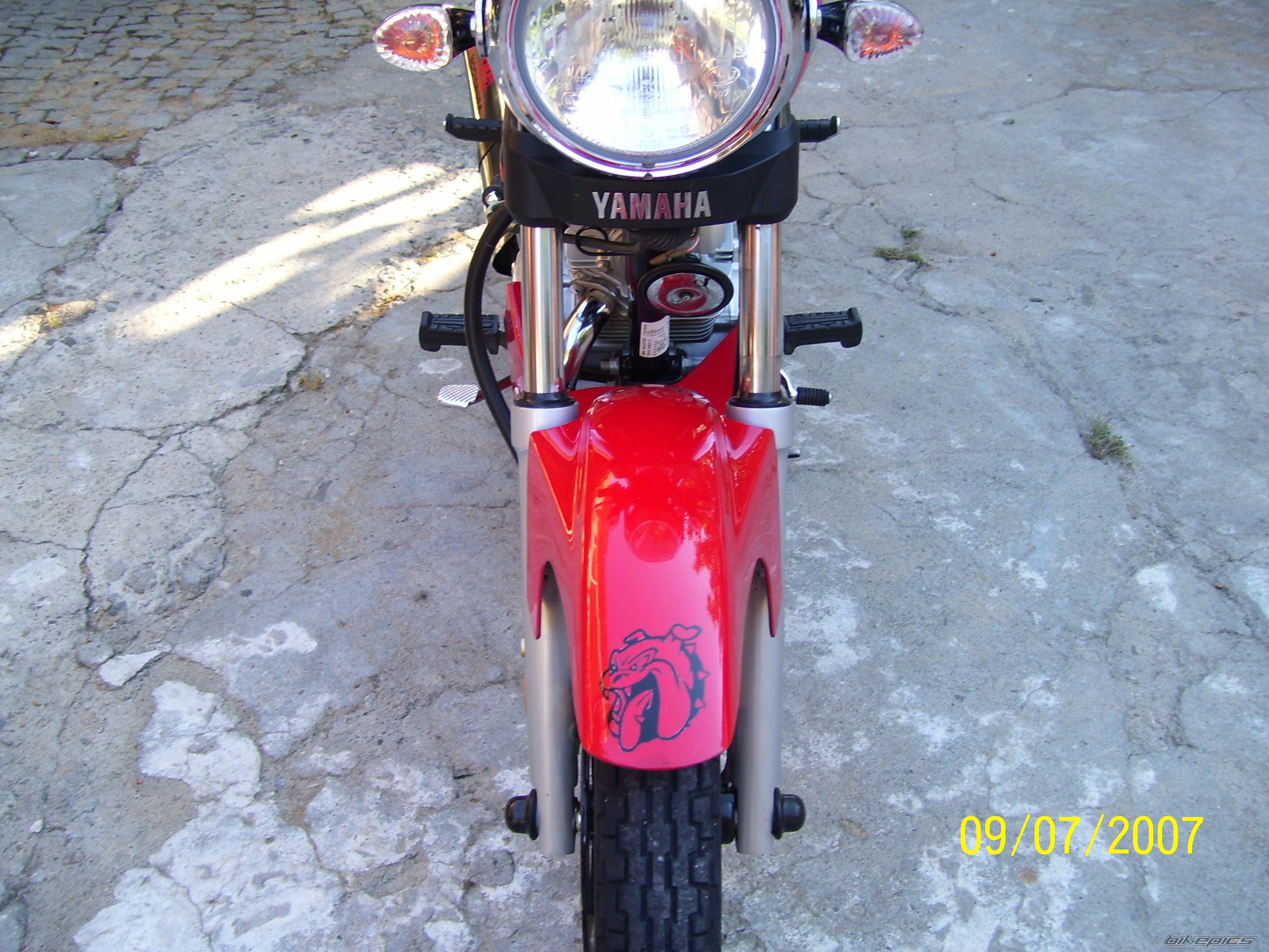 2007 YAMAHA YBR 125 | Picture 957034 motorcycle photo