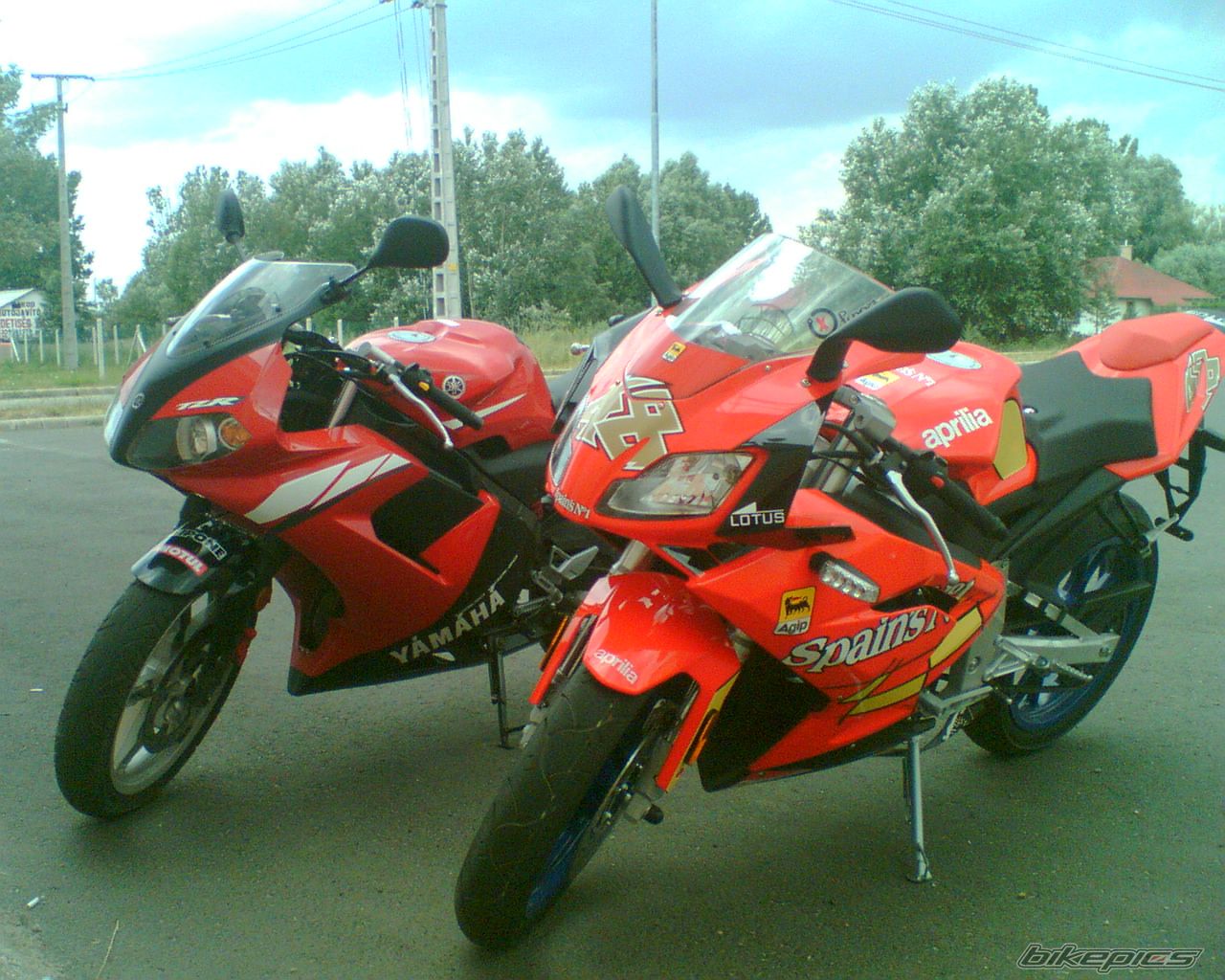 2003 YAMAHA TZR 50 | Picture 957035 motorcycle photo