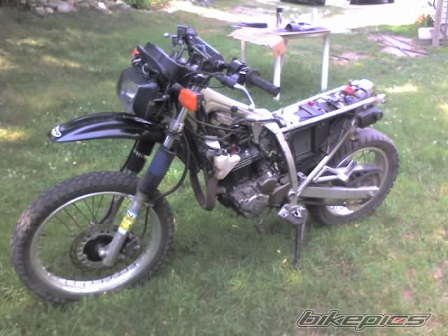 1989 HONDA NX 250 | Picture 957348 motorcycle photo