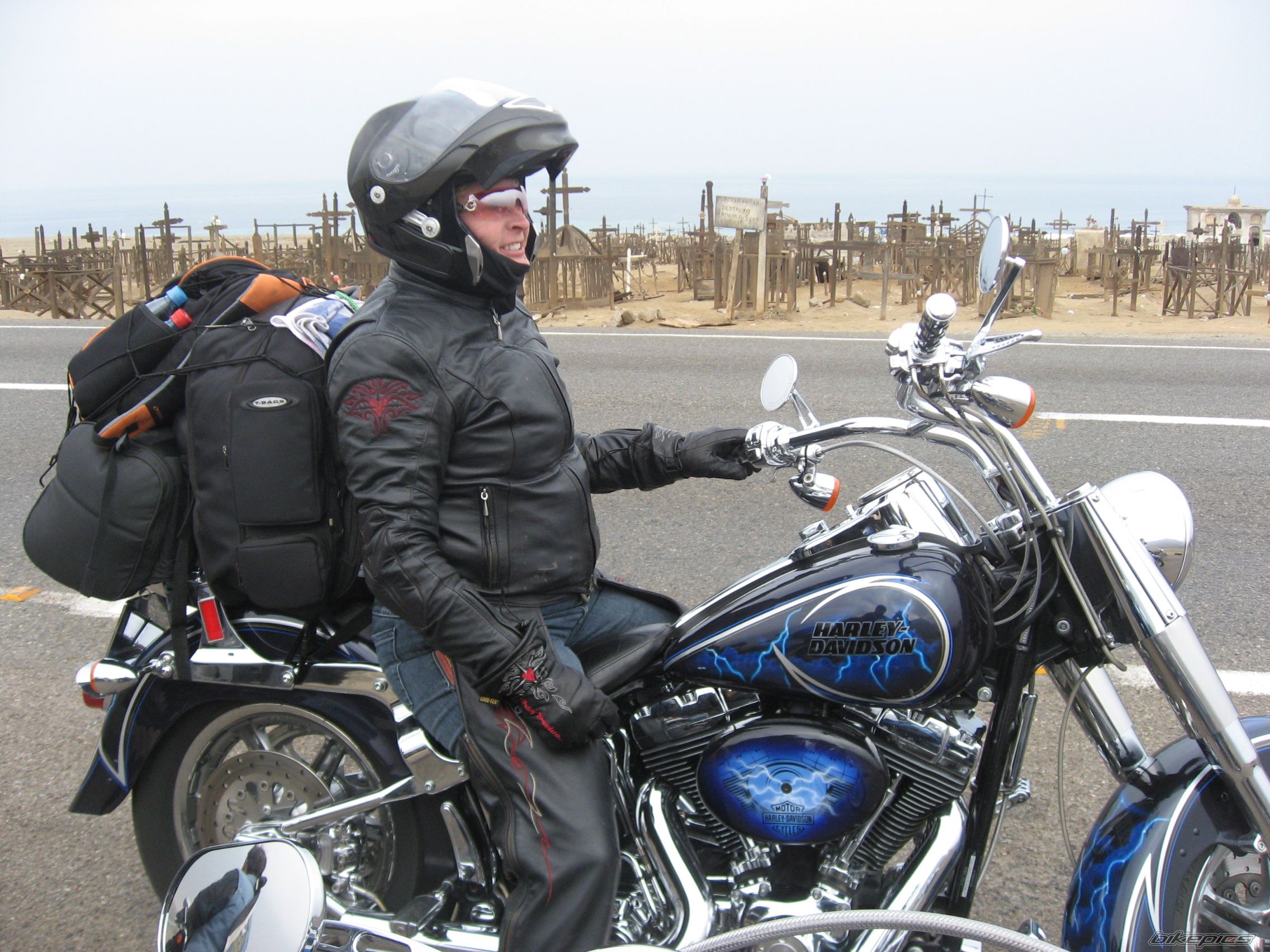 2004 HARLEY DAVIDSON FLSTF | Picture 957501 motorcycle photo