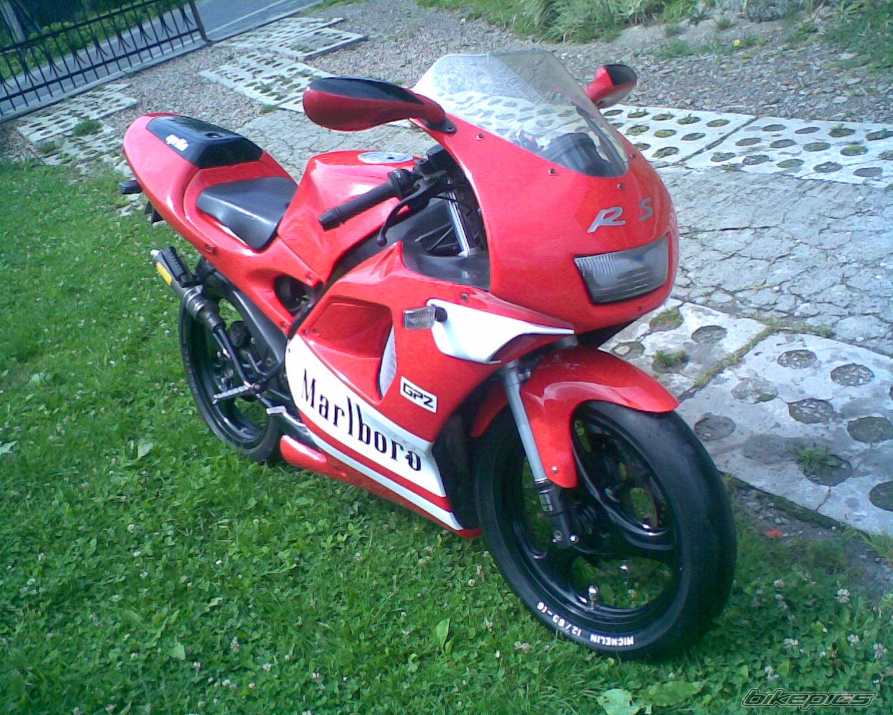 1994 APRILIA RS 80 | Picture 958000 motorcycle photo