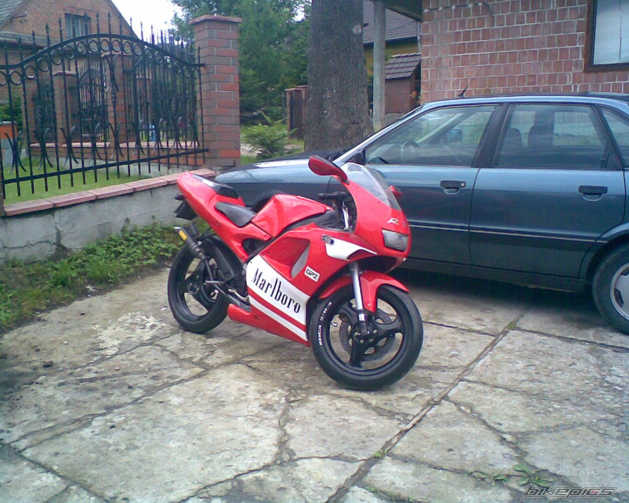 1994 APRILIA RS 80 | Picture 958003 motorcycle photo