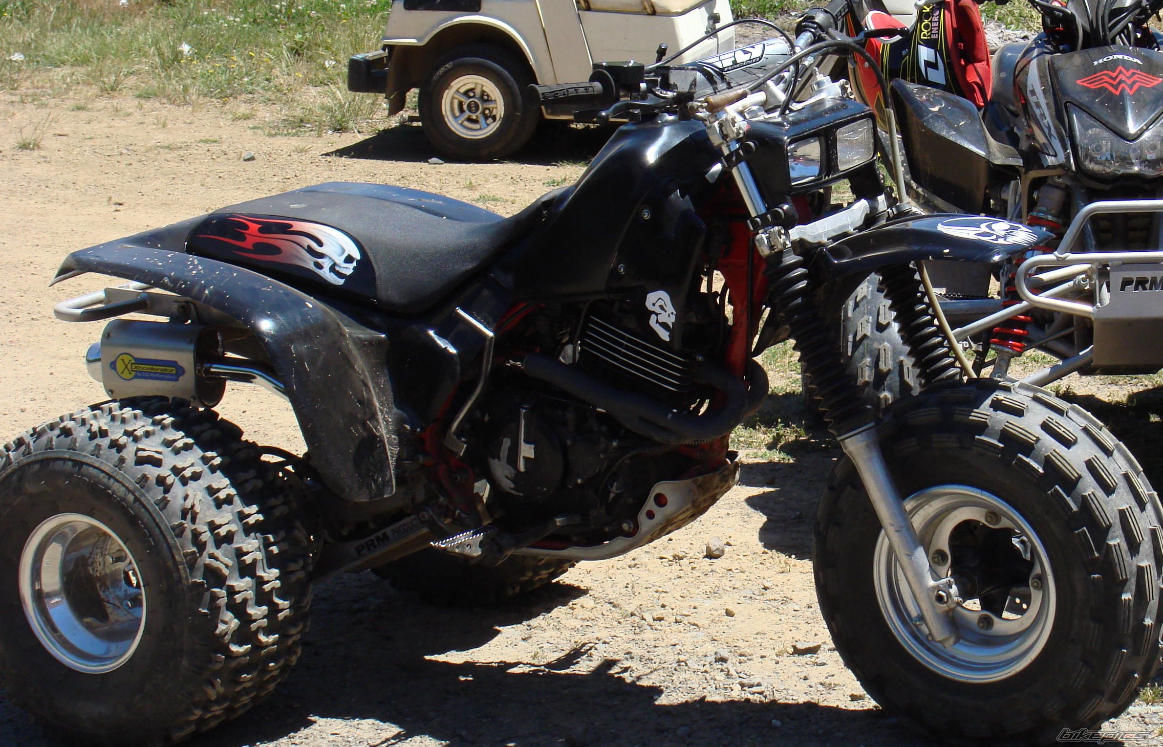 1985 HONDA ATC 350 | Picture 958072 motorcycle photo