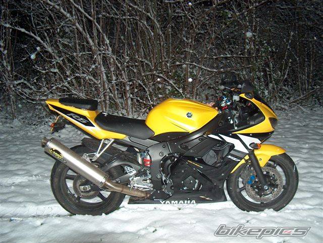 2003 YAMAHA YZF R6 | Picture 95834 motorcycle photo