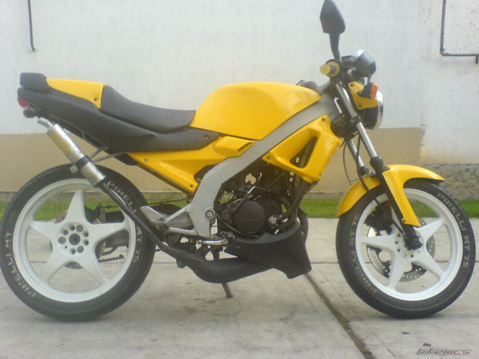 1995 APRILIA AF1 EUROPA 50 | Picture 959436 motorcycle photo
