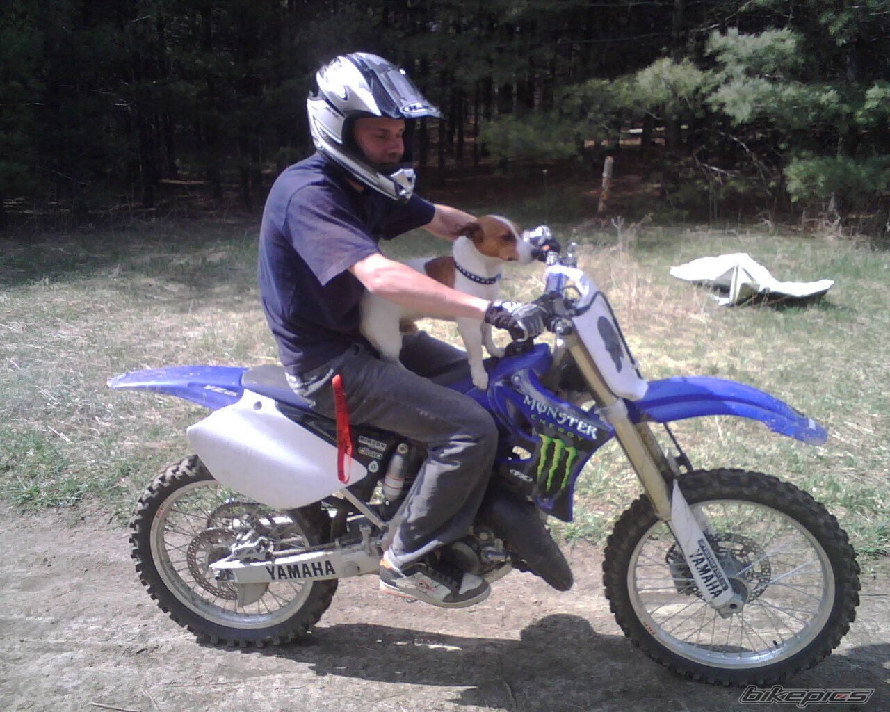 2005 YAMAHA YZ 125 | Picture 959607 motorcycle photo